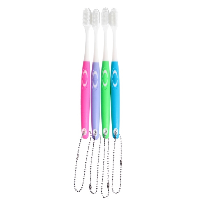 Игровой набор «Макет челюсти человека», 12 × 9 см, с щёткой, щётка цвета МИКС Игровой набор «Макет челюсти человека», 12 × 9 см, с щёткой, щётка цвета МИКС