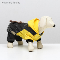 Комбинезон &laquo;Мишка&raquo;, XL (ДС 40 см, ОШ 40 см, ОГ 50 см)