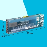 Синтезатор детский «Клавишник», звуковые эффекты, 61 клавиша Синтезатор детский «Клавишник», звуковые эффекты, 61 клавиша