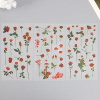 Наклейки пластик "Розы" набор 6 листов 10х18 см Наклейки пластик "Розы" набор 6 листов 10х18 см