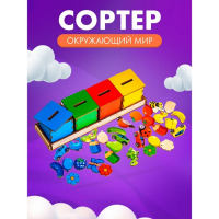 Сортер &laquo;Окружающий мир&raquo;