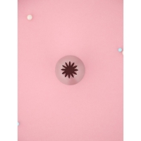 Насадка кондитерская KONFINETTA &laquo;Закрытая звезда&raquo;, d=3 см, выход 1 см, нержавеющая сталь