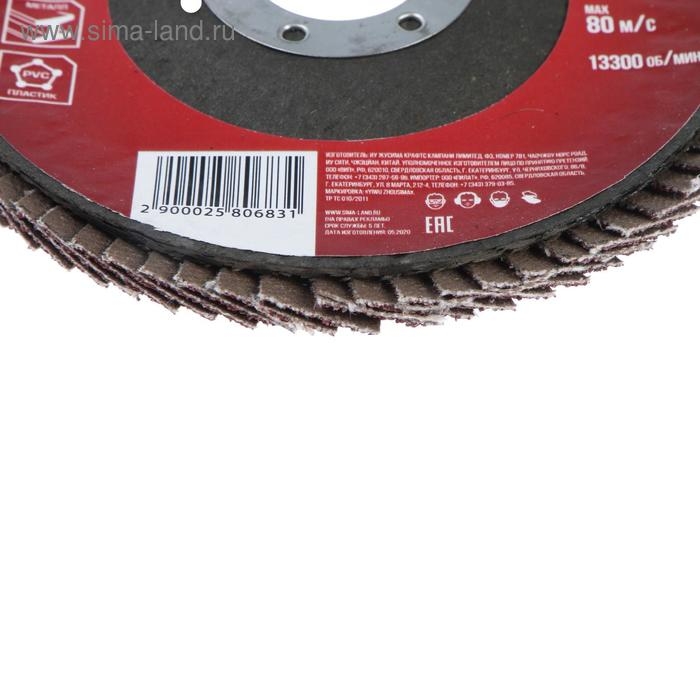 Круг лепестковый торцевой конический ЛОМ, 115 х 22 мм, Р60 Круг лепестковый торцевой конический ЛОМ, 115 х 22 мм, Р60