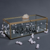 Органайзер для хранения «MOUNTAINS», с крышкой, стеклянный, с зеркальным дном, 1 секция, 21,5 × 10,5 × 7,5 см, цвет прозрачный/медный Органайзер для хранения «MOUNTAINS», с крышкой, стеклянный, с зеркальным дном, 1 секция, 21,5 × 10,5 × 7,5 см, цвет прозрачный/медный