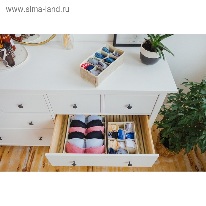 Органайзер для хранения белья Доляна &laquo;Европа&raquo;, 8 ячеек, 28&times;14&times;10 см, цвет бежевый