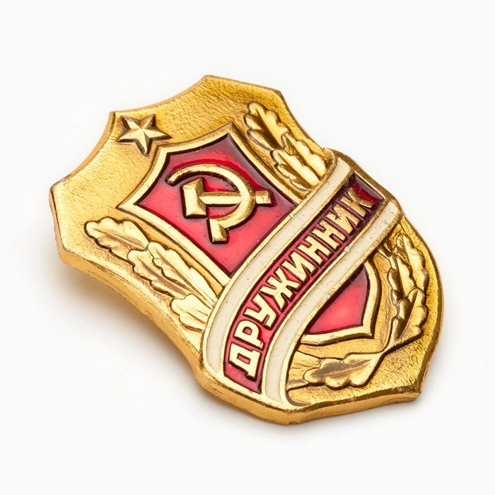Значок Значок "Дружинник"