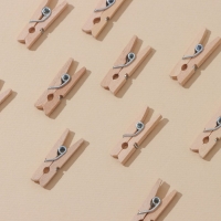 Прищепки бельевые Доляна, деревянные, 2,5 см, 24 шт Прищепки бельевые Доляна, деревянные, 2,5 см, 24 шт