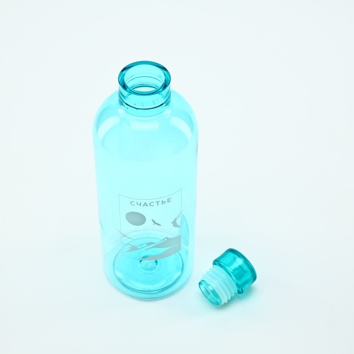 Бутылка для воды &laquo;Счастье&raquo;, 700 мл