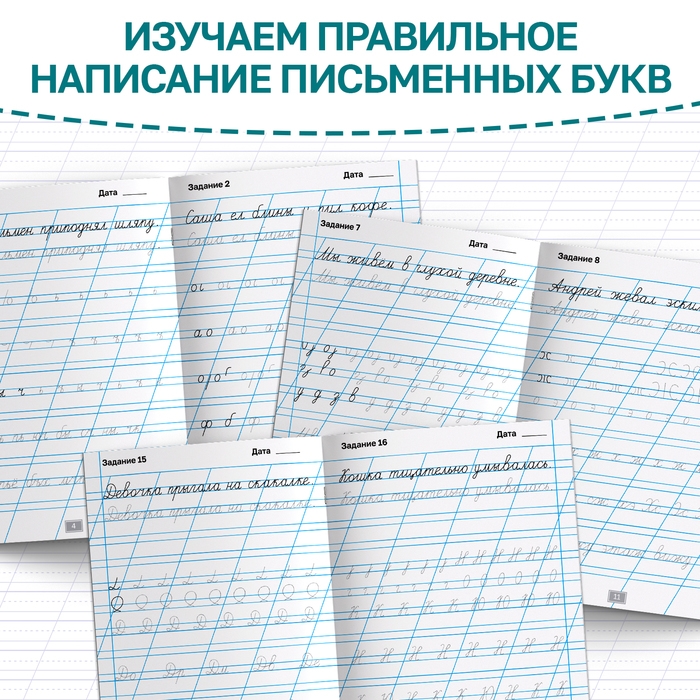 Тренажёр &laquo;Чистописание&raquo;, для 1-2 класса, 36 стр.