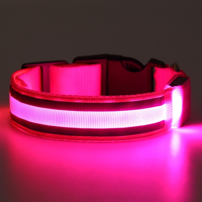 Ошейник с подсветкой Двойная полоса размер S, ОШ 35-43 х 2,5 см 3 режима свечения розовый Ошейник с подсветкой Двойная полоса размер S, ОШ 35-43 х 2,5 см 3 режима свечения розовый