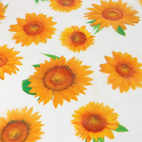 Клеёнка на стол Доляна, ширина 137 см, толщина 0,07 мм, рулон 30 метров Клеёнка на стол Доляна, ширина 137 см, толщина 0,07 мм, рулон 30 метров