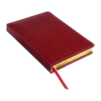 Ежедневник датированный 2025 B6 168 листов, deVENTE. Wild, твердая обложка кожзам с поролоном, перфорация, ляссе, блок 70, бордо Ежедневник датированный 2025 B6 168 листов, deVENTE. Wild, твердая обложка кожзам с поролоном, перфорация, ляссе, блок 70, бордо