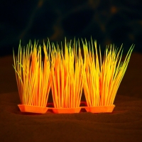 Растение искусственное аквариумное, светящееся, 9 см, красное Растение искусственное аквариумное, светящееся, 9 см, красное