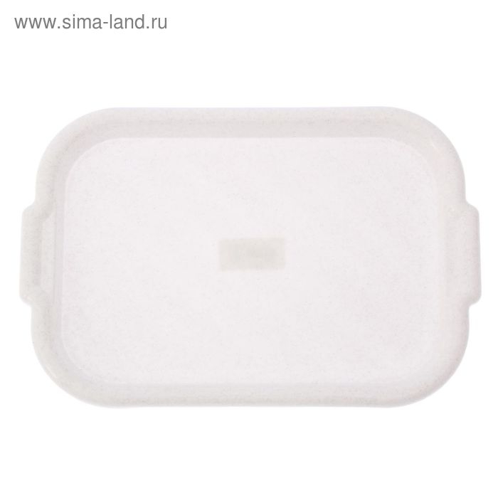 Поднос, 39×27 см, цвет микс Поднос, 39×27 см, цвет микс