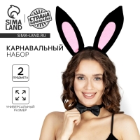 Карнавальный набор &laquo;Заюшка&raquo; (ушки+ бабочка)