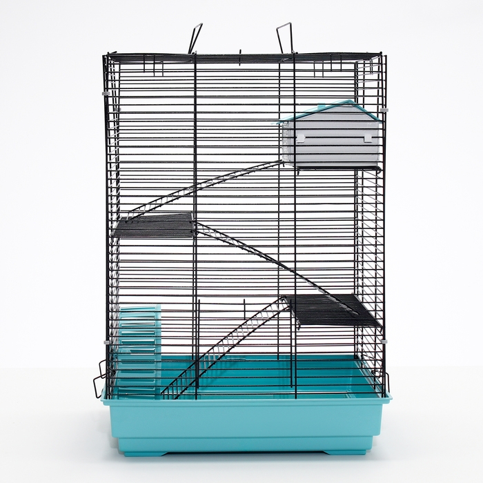Клетка для грызунов Клетка для грызунов "Пижон" №5, с 3 этажами, укомплектованная, 41 х 30 х 58 см, бирюзовая