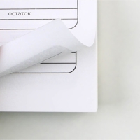 Умный блокнот для планирования финансов &laquo;Кот&raquo;, формат А6, 68 листов.