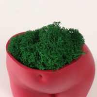 Кашпо бетонное "Невинный вид" высота 6,5см, ширина 8,5см винный со мхом (мох зелен. стабилиз 1041207 Кашпо бетонное "Невинный вид" высота 6,5см, ширина 8,5см винный со мхом (мох зелен. стабилиз 1041207