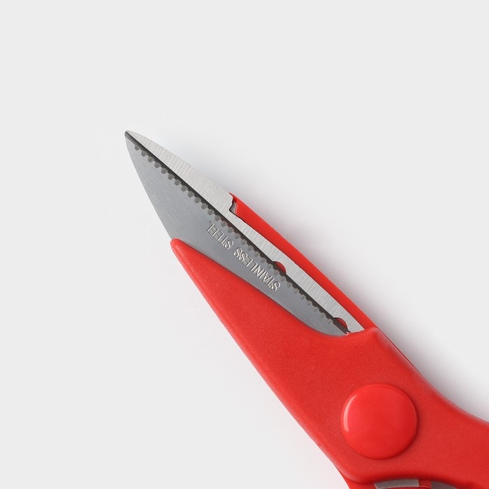 Ножницы кухонные Доляна &laquo;Вега&raquo;, 20 см, цвет МИКС