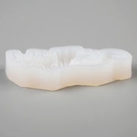 Форма силиконовая универсальная &laquo;Чудесный динозавр&raquo;, 9,3 &times; 7,6 &times; 1 см