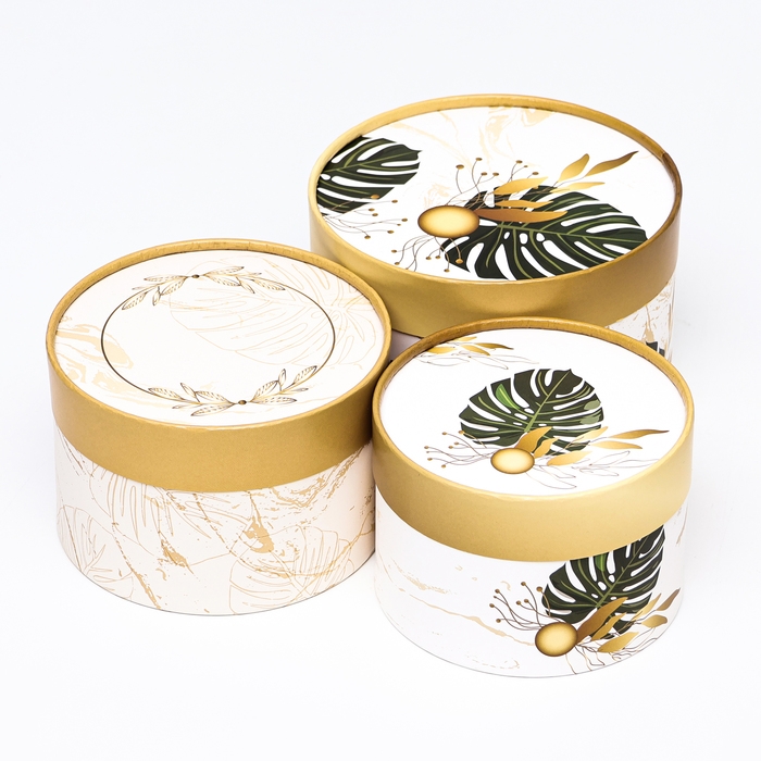 Набор шляпных коробок 3 в 1 Набор шляпных коробок 3 в 1 "Тропики" , завальцованная, 16 х 10, 14 х 9, 13 х 8,5 см