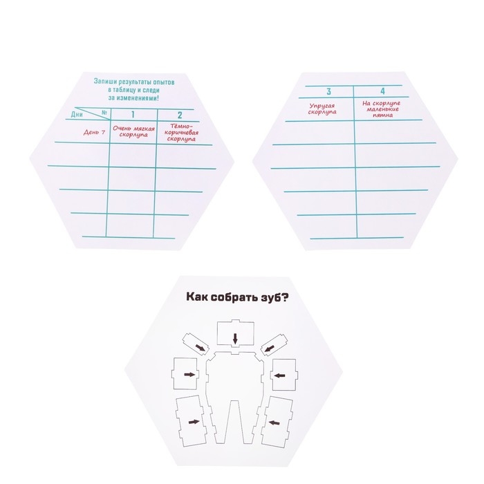 Набор для опытов &laquo;Зачем мы чистим зубы?&raquo;, 3 опыта