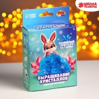 Выращивание кристаллов. Опыты. Лучистый кристалл&laquo;Зайчик&raquo;