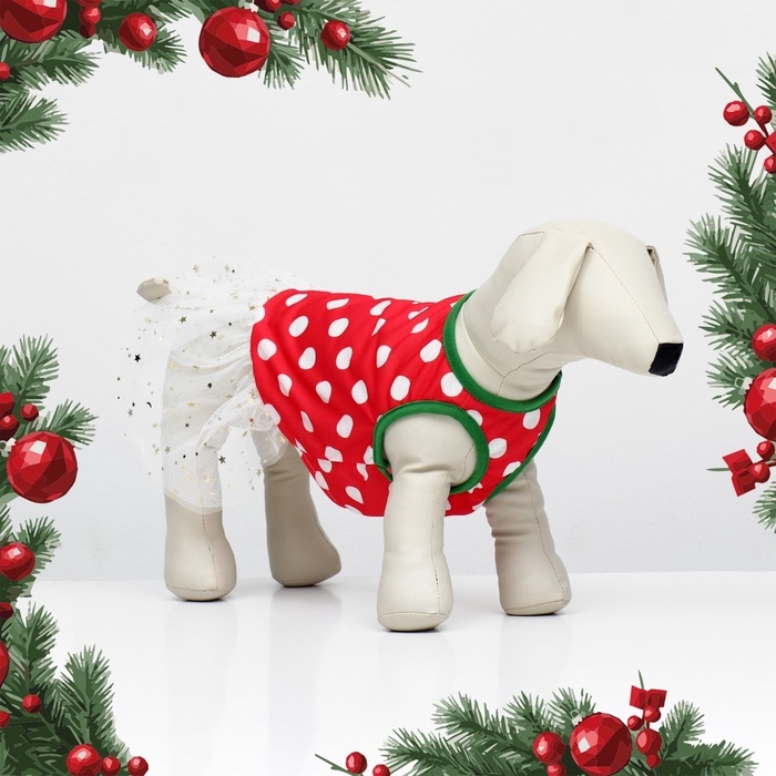 Костюм для животных Костюм для животных "Фея", размер XS (ДС 22, ОГ 32, ОШ 21 см), красно-белый