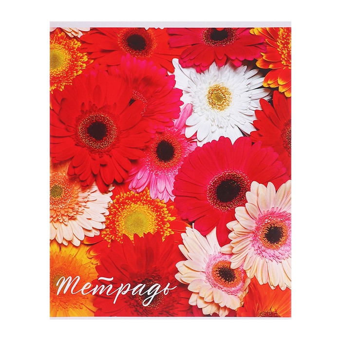 Комплект тетрадей из 5 штук (4 разные + 1 повторяющаяся), 48 листов в клетку Calligrata "Цветы", обложка мелованная бумага, блок №2, белизна 75% (серые листы)