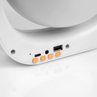 Световой прибор «Караоке» 20 см, динамик, микрофон, свечение RGB, 5 В Световой прибор «Караоке» 20 см, динамик, микрофон, свечение RGB, 5 В