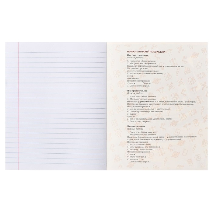 Тетрадь предметная Calligrata TOP "Мрамор тёмный", 48 листов в линию Русский язык, со справочным материалом, обложка мелованный картон, покрытие Soft-touch с тиснением золотой фольгой, блок офсет