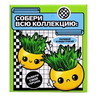 Набор для опытов, для детей «Выращиваем травку», растение в горшочке - эмодзи «Крутой» Набор для опытов, для детей «Выращиваем травку», растение в горшочке - эмодзи «Крутой»