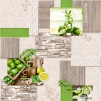 Обои моющиеся на бумажной основе "Мохито" С3В-765Ф-05, 0,53х10,05м Обои моющиеся на бумажной основе "Мохито" С3В-765Ф-05, 0,53х10,05м