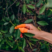 Напальчник с лезвием + 4 защитных напальчника, для сбора урожая, Greengo Напальчник с лезвием + 4 защитных напальчника, для сбора урожая, Greengo
