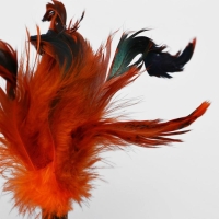 Игрушка-неваляшка для кошек с перьями, микс цветов Игрушка-неваляшка для кошек с перьями, микс цветов