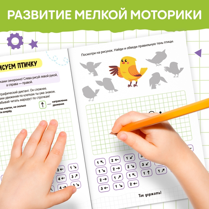 Книга &laquo;Нейропрописи. Развитие мелкой моторики&raquo;, 28 стр., от 5 лет