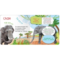 Книжки с окошками &laquo;Кто где живёт?&raquo;