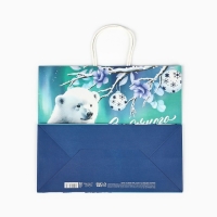 Пакет подарочный новогодний крафтовый &laquo;Новый год&raquo;, 32 х 28 х 15 см, Новый год