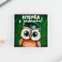 Подарочный набор на выпускной &laquo;Выпускник начальной школы&raquo; блокнот 9см х 9см 60 л., восковые мелки 4 шт.