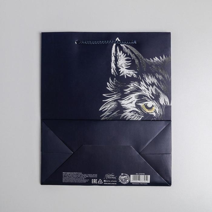 Пакет подарочный ламинированный вертикальный, упаковка, «Сильному духом», ML 23 х 27 х 11,5 см Пакет подарочный ламинированный вертикальный, упаковка, «Сильному духом», ML 23 х 27 х 11,5 см