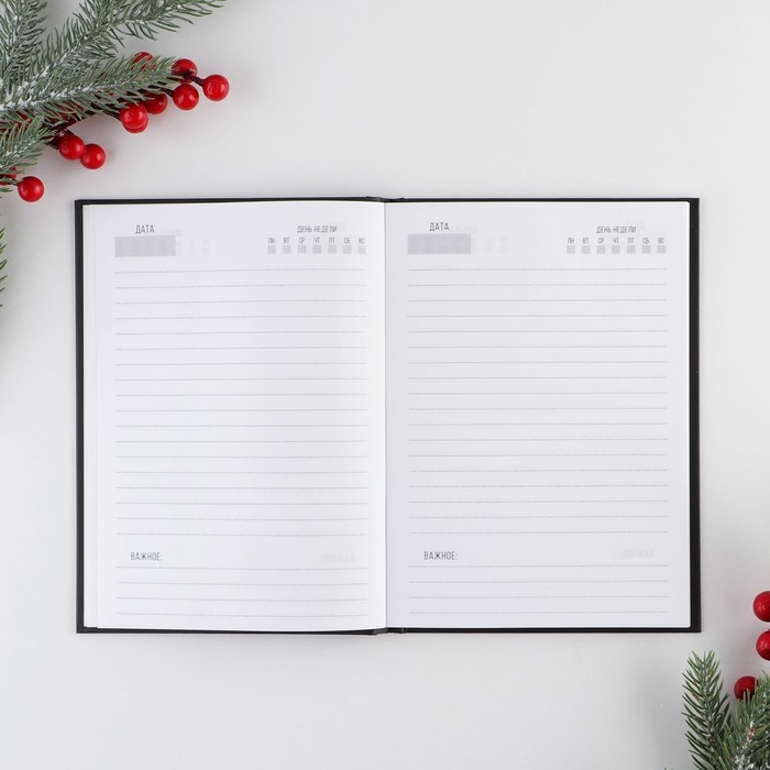 Новый год. Ежедневник классический &laquo;Лучшему из лучших&raquo;, 7БЦ А5, 80 листов