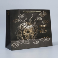Пакет подарочный крафтовый с пластиковым окном, упаковка, &laquo;Burn to be wild&raquo;, 31 х 26 х 11 см