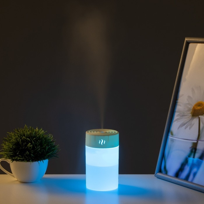 Ночник-увлажнитель "Алди" LED 2Вт USB 260мл белый 7х7х11,8 см RISALUX