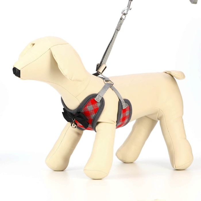 Комплект амуниции с мягкой шлейкой, L, поводок 120 х 1,5 см, ОШ 30-50 см, ОГ 36-56 см, красный 473 Комплект амуниции с мягкой шлейкой, L, поводок 120 х 1,5 см, ОШ 30-50 см, ОГ 36-56 см, красный 473