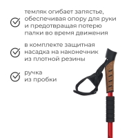 Палки для скандинавской ходьбы ONLYTOP, телескопические, 3 секции, до 135 см, 2 шт., цвет МИКС Палки для скандинавской ходьбы ONLYTOP, телескопические, 3 секции, до 135 см, 2 шт., цвет МИКС