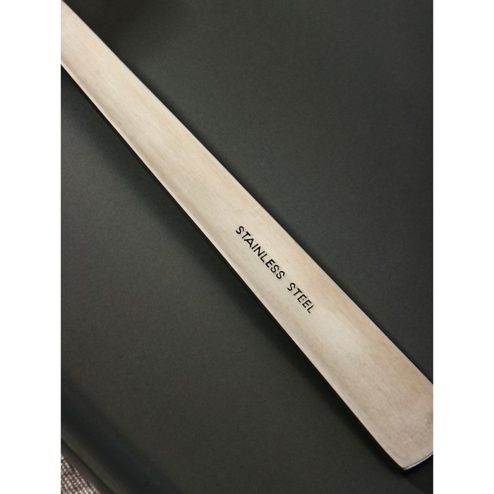 Набор вилок столовых Доляна &laquo;Перту&raquo;, h=20,2 см, 6 шт, цвет серебряный