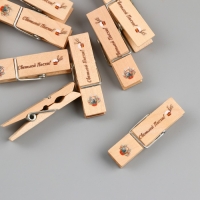 Декор для творчества дерево "Прищепка - Светлой Пасхи!" набор 10 шт Декор для творчества дерево "Прищепка - Светлой Пасхи!" набор 10 шт