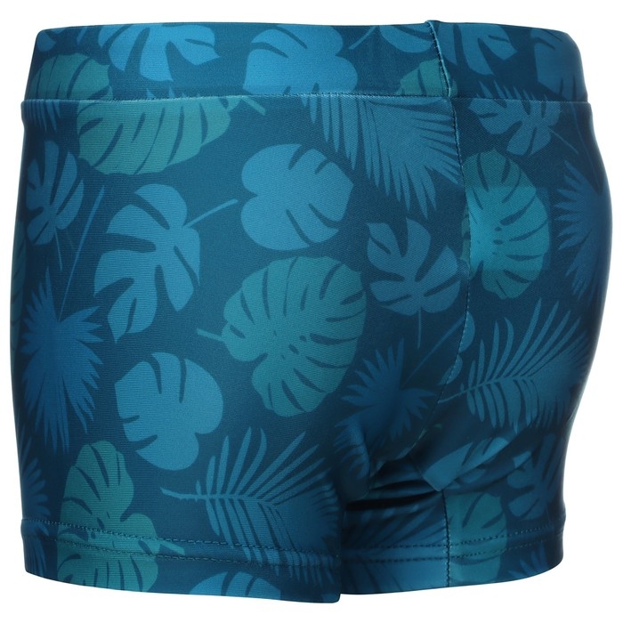 Плавки для плавания ONLYTOP &laquo;Дино&raquo;, р. 36