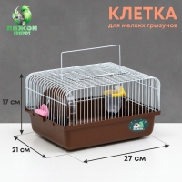 Клетка для грызунов "Пижон", 27 х 21 х 17 см, коричневая Клетка для грызунов "Пижон", 27 х 21 х 17 см, коричневая