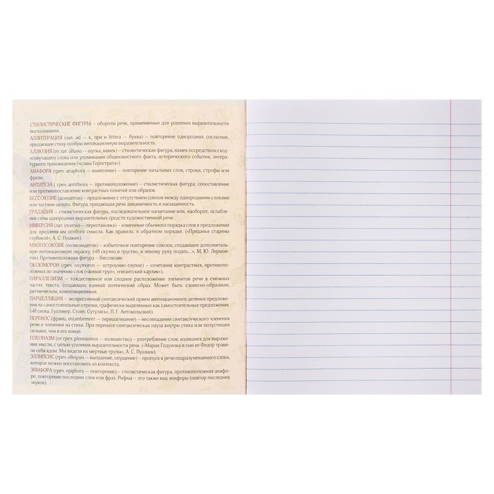 Тетрадь предметная Calligrata TOP "Полоса", 48 листов в линию Литература, со справочным материалом, обложка мелованный картон, ТВИН + выборочный УФ-лак, офсет